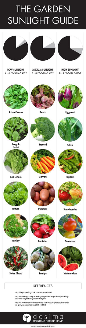The-Garden-Sunlight-Guide Kids Vegetable garden Sunshine Guide