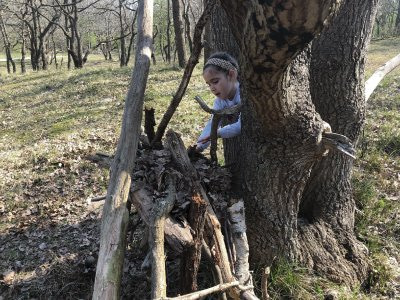 Kids-Forest-Rangers-Nature-Activity-Screen-Free-Challenge-Unplugged-Family-Time-2 Kids Forest Rangers Nature-Activity-Screen-Free-Challenge-Unplugged-Family-Time-2