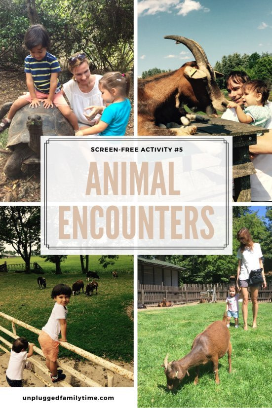Petting Zoo Animal-encounters-Screen-Free-Challenge-Unplugged-Family-Time