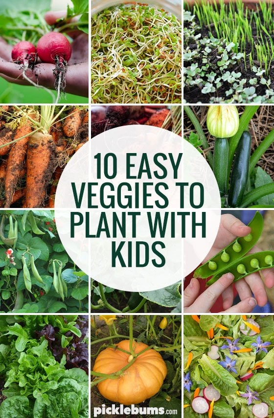 kids vegetable garden Easiest veggies to grow