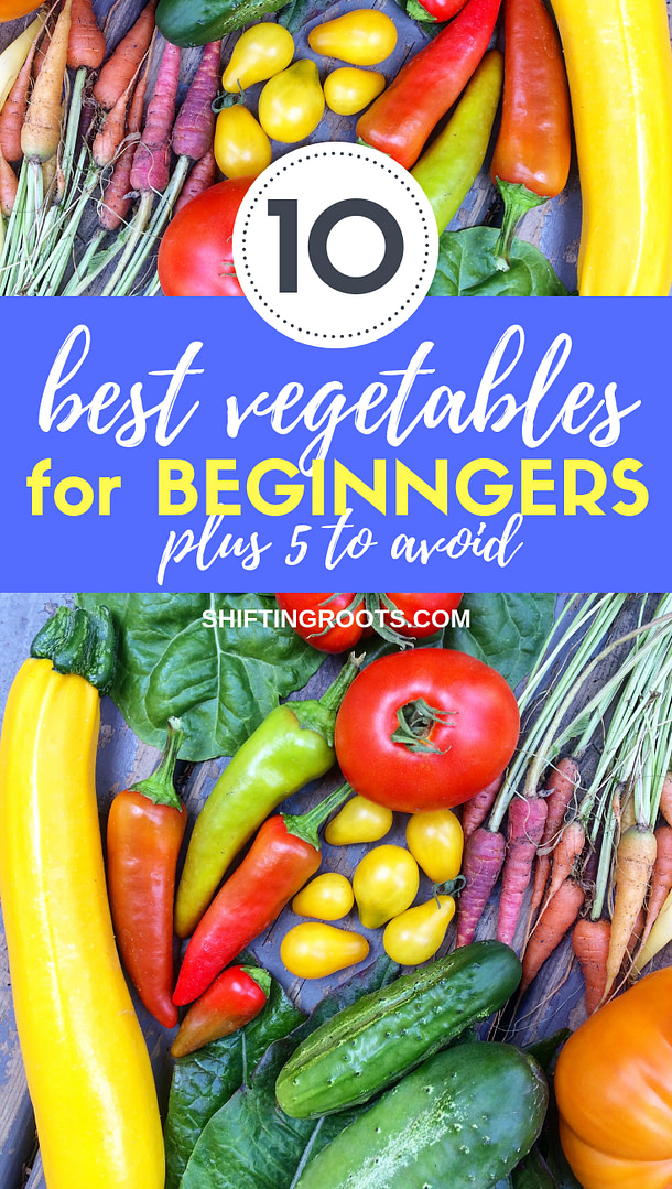 10-best-vegetables-for-beginners-to-grow Kids Vegetable Garden Easiest Vegetables to grow Unplugged Family Time