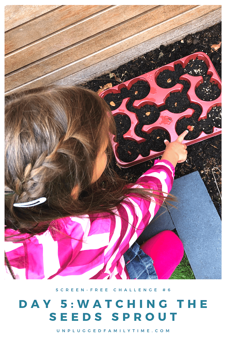 Kids Vegetable Garden 5 Simple Steps To Growing Your Own Veggies Kids Vegetable Garden 5 Simple Steps To Growing Your Own Veggies