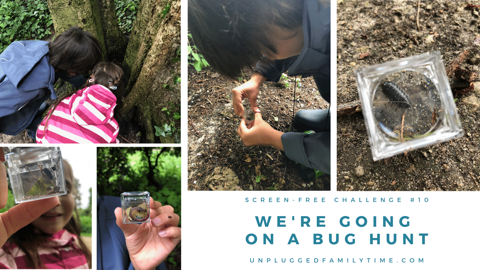Results Scavenger Hunt Ideas Going on a Bug Hunt Unplugged Family Time Results Scavenger Hunt Ideas Going on a Bug Hunt Unplugged Family Time