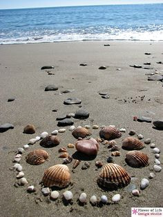 Creating a mandala on the beach Beach Craft Activity Unplugged Family Time Creating a mandala on the beach Beach Craft Activity Unplugged Family Time