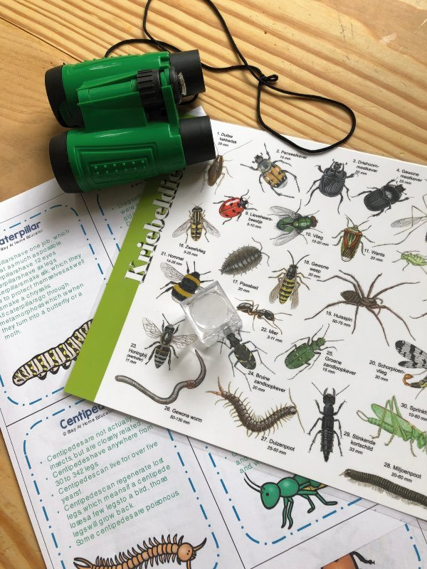 Scavenger-Hunt-Ideas-Going-on-a-Bug-Hunt-Prep-Unplugged-Family-Time Scavenger-Hunt-Ideas-Going-on-a-Bug-Hunt-Prep-Unplugged-Family-Time